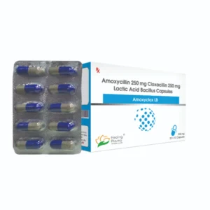 Amoxyclox LB | Amoxicillin 250mg + Cloxacillin 250mg+ Lacto Bacillus