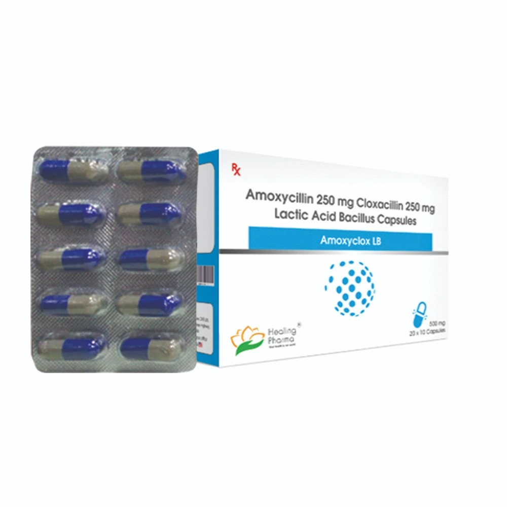 Amoxyclox LB | Amoxicillin 250mg + Cloxacillin 250mg+ Lacto Bacillus